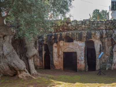  L�ingresso � composto da un prospetto con tre diversi ingressi: i due laterali arcuati e quello principale squadrato e sovrastato da una finestrella superiore